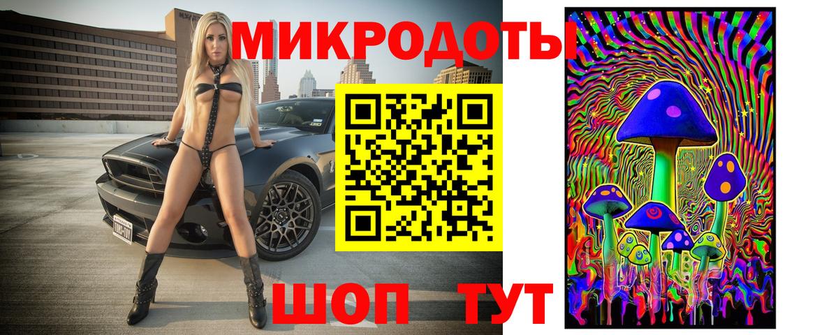 Галлюциногенные грибы Psilocybe Балахна